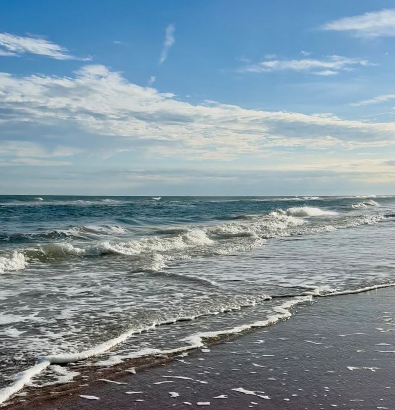 An open stretch of ocean under a wide blue sky, gentle waves layered with light and shadow. The horizon glows softly, where the still water meets the living movement of the sea — a quiet merging of breath and depth.