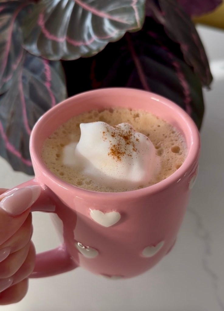 Pink mug of a warm drink topped with foam and a sprinkle of cinnamon, held in hand near a leafy houseplant.